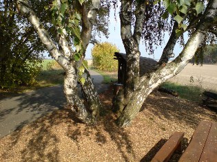Rastplatz an der Flaeming-Skate&reg; zwischen Heinsdorf und Hohenseefeld